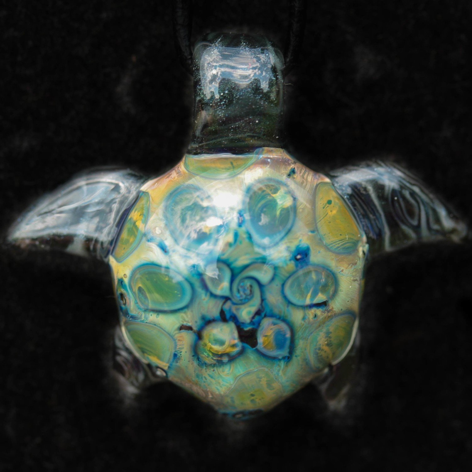 Bio Zone Turtle