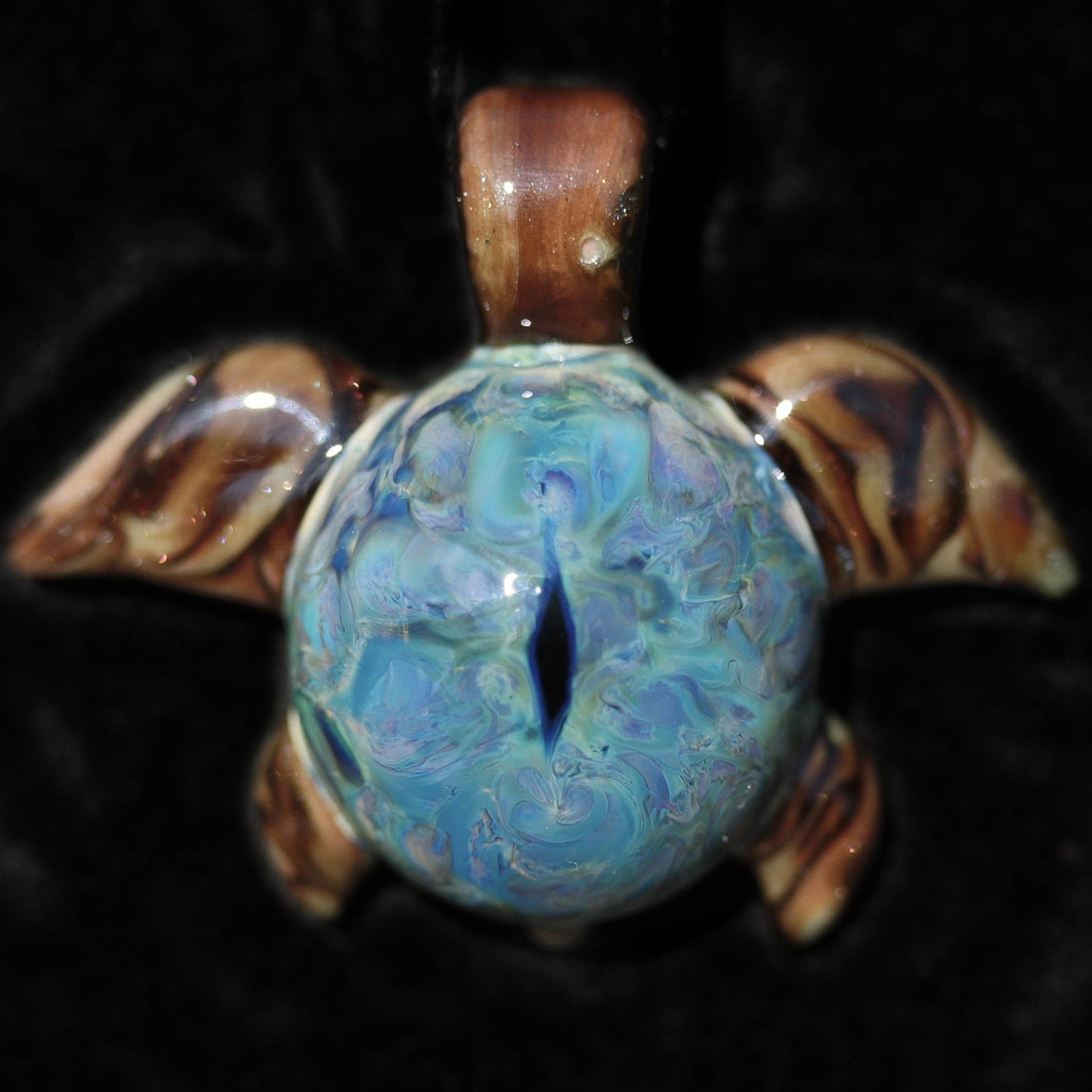 Dragon Eye Turtle