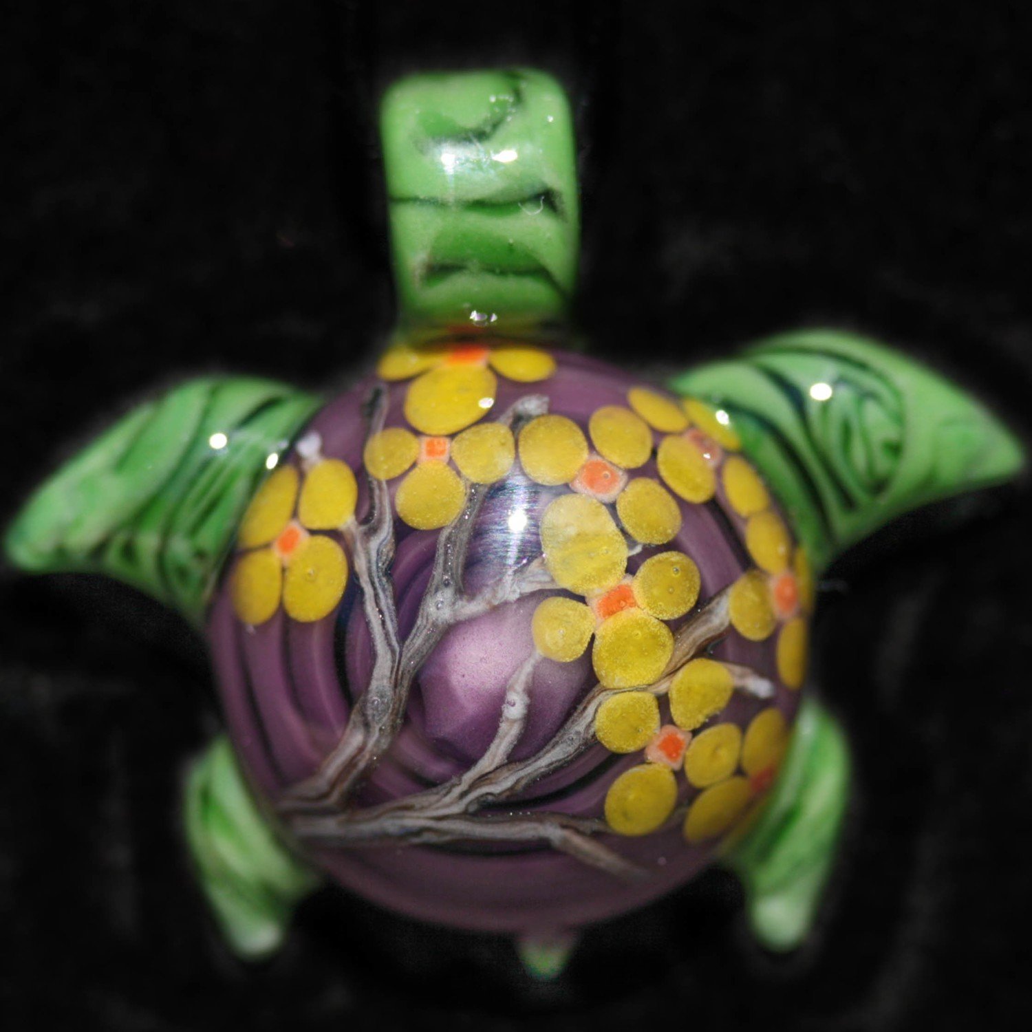 Turtle Branch