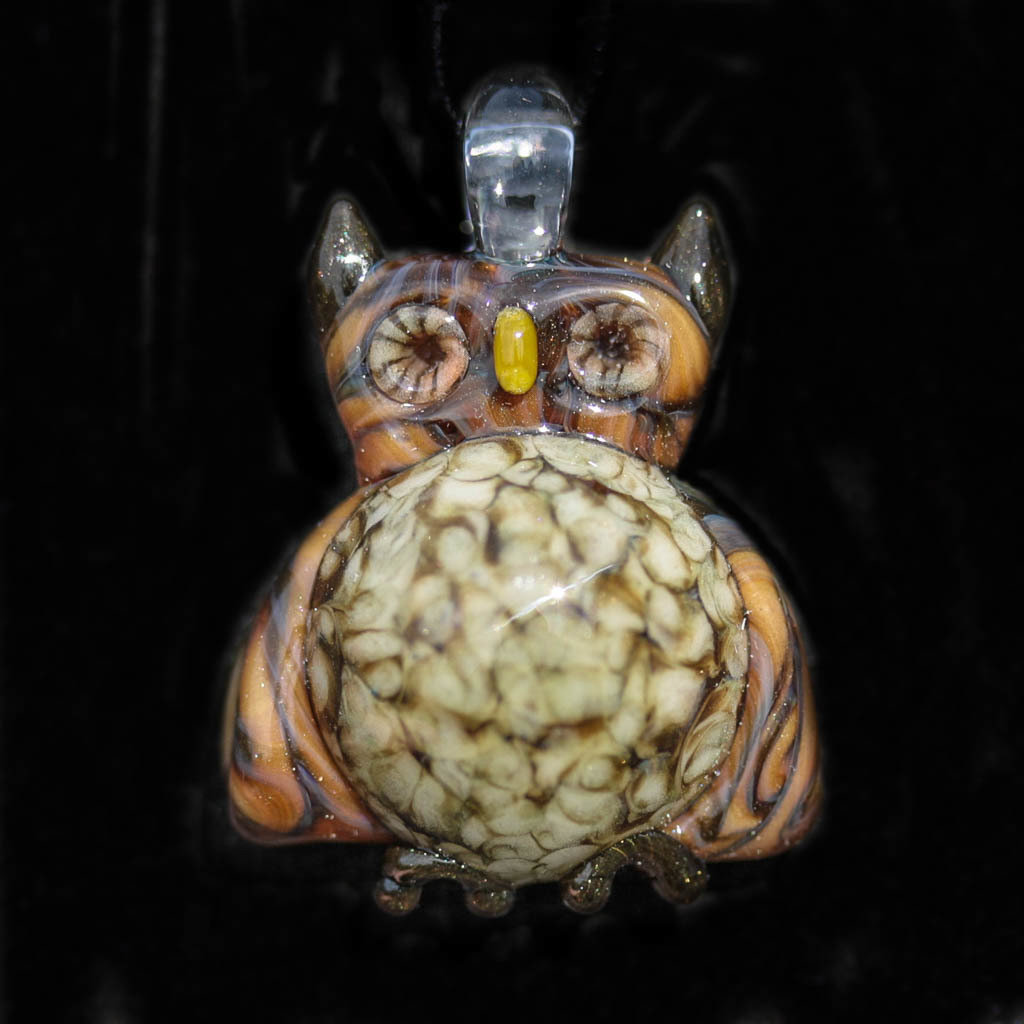 Spotted Owl
