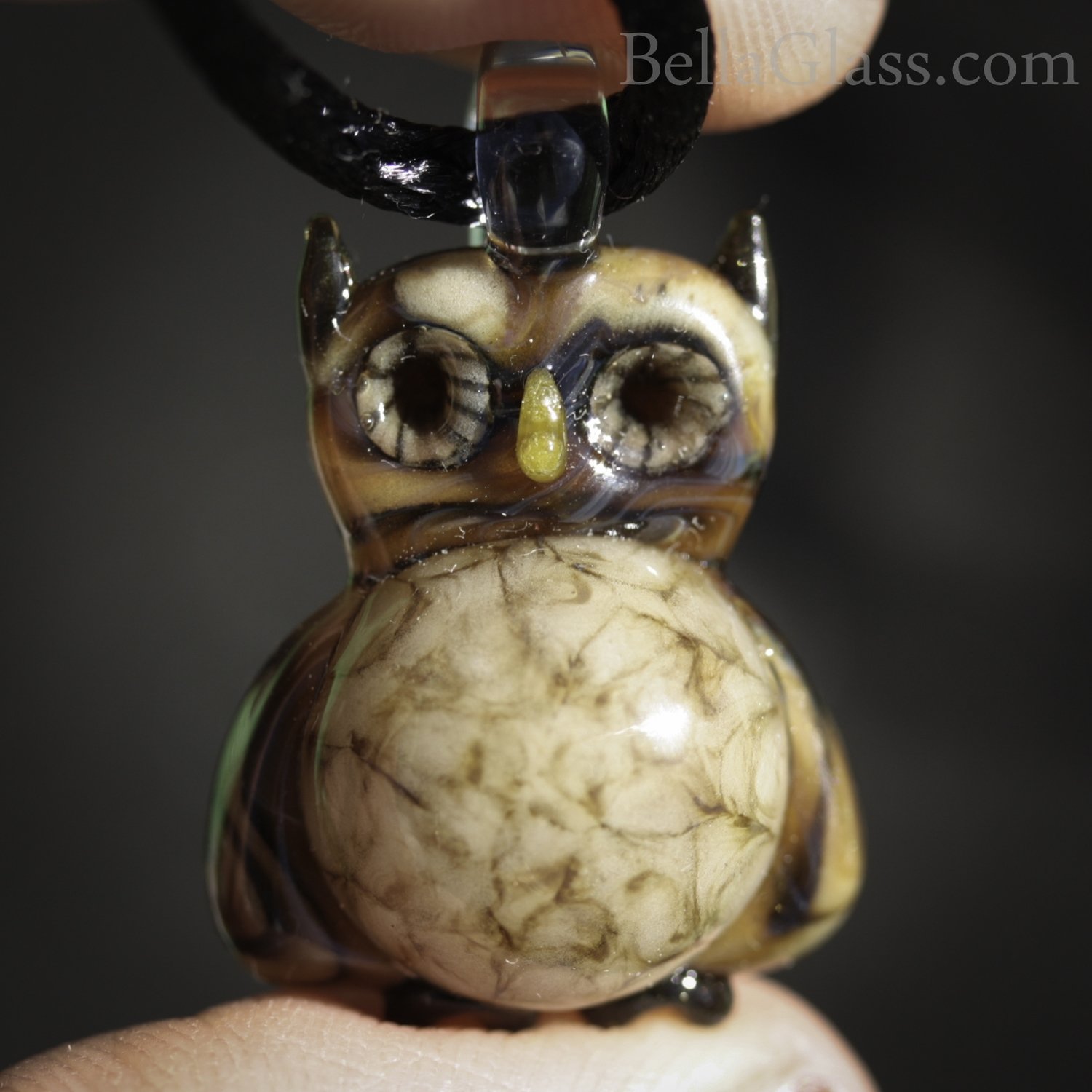 Wise Owl