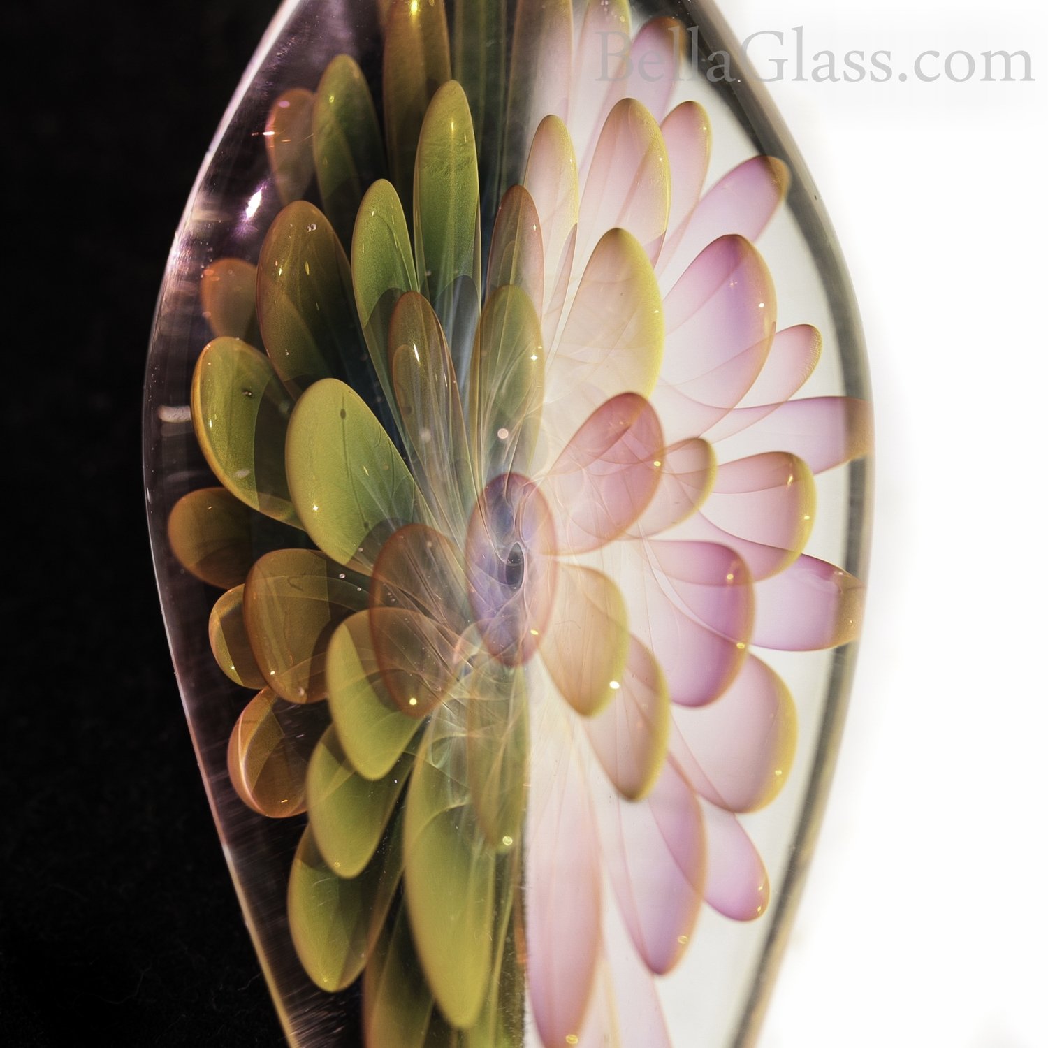 Elongated Backless Translucent Color Changer