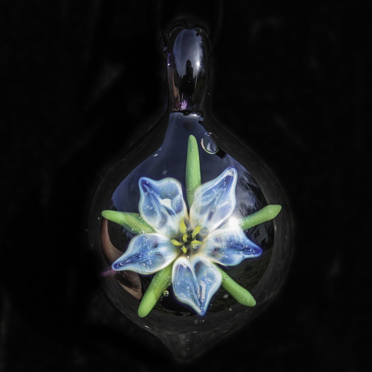 Silver Lily over Black