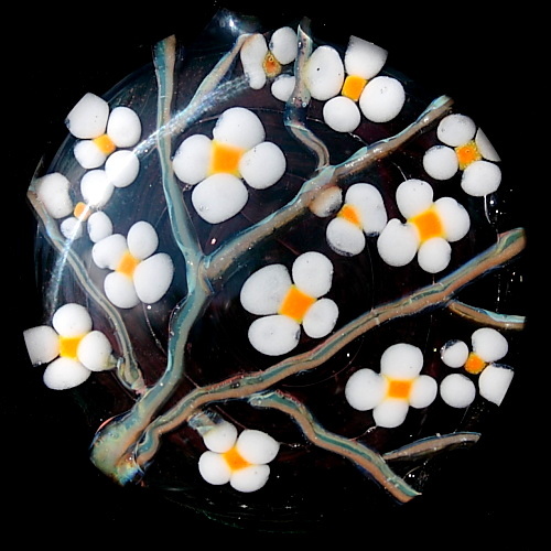 Black and White Blooming Branch