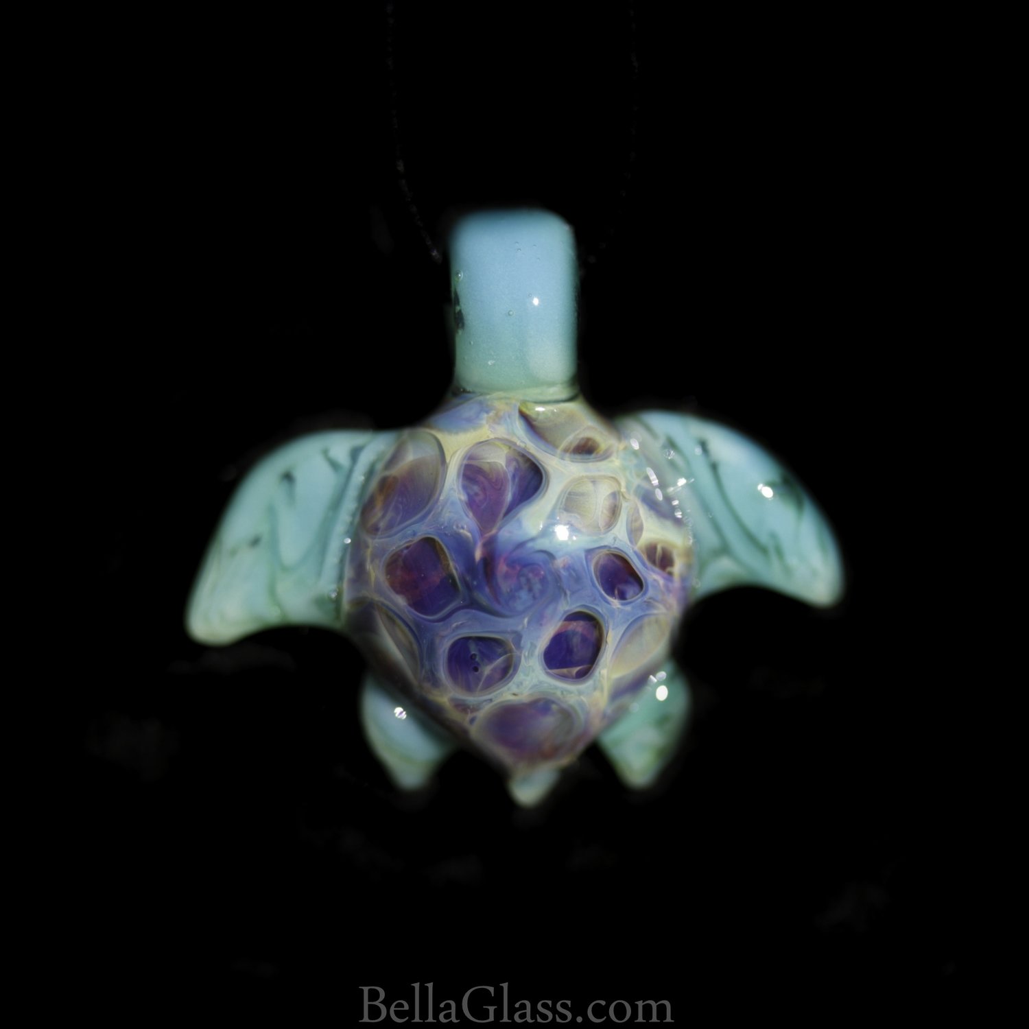 Baby Sea Turtle