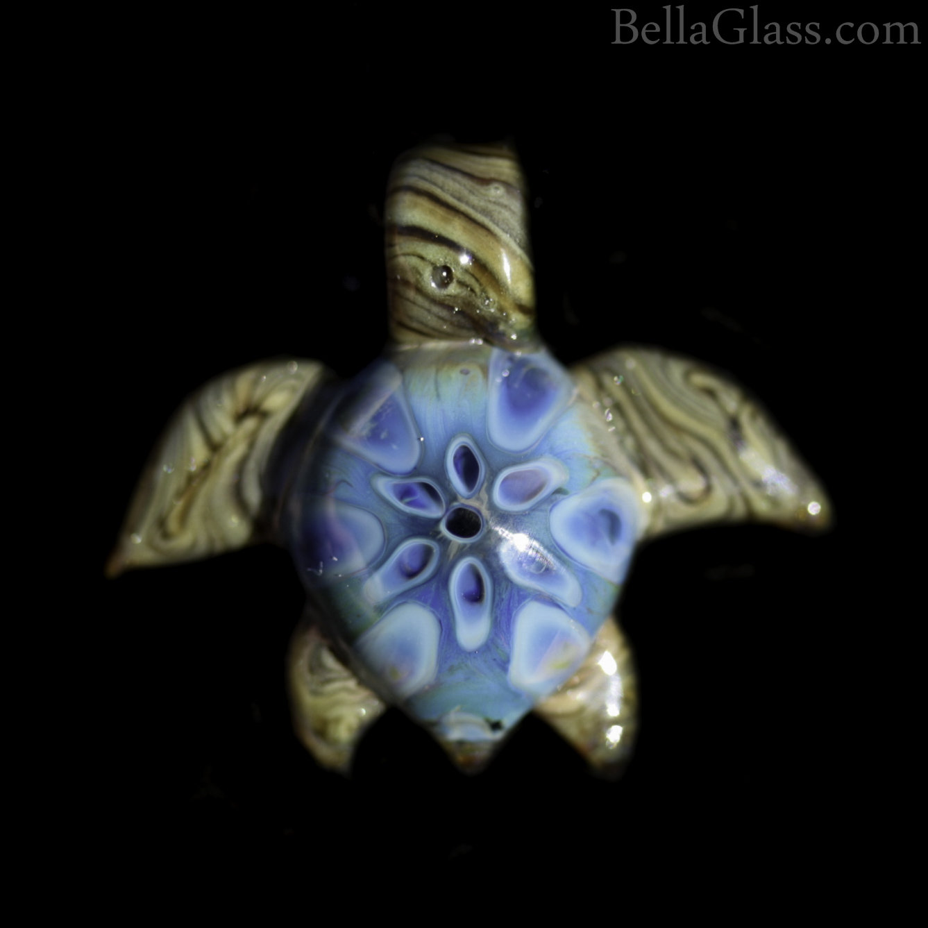 Starburst Sea Turtle