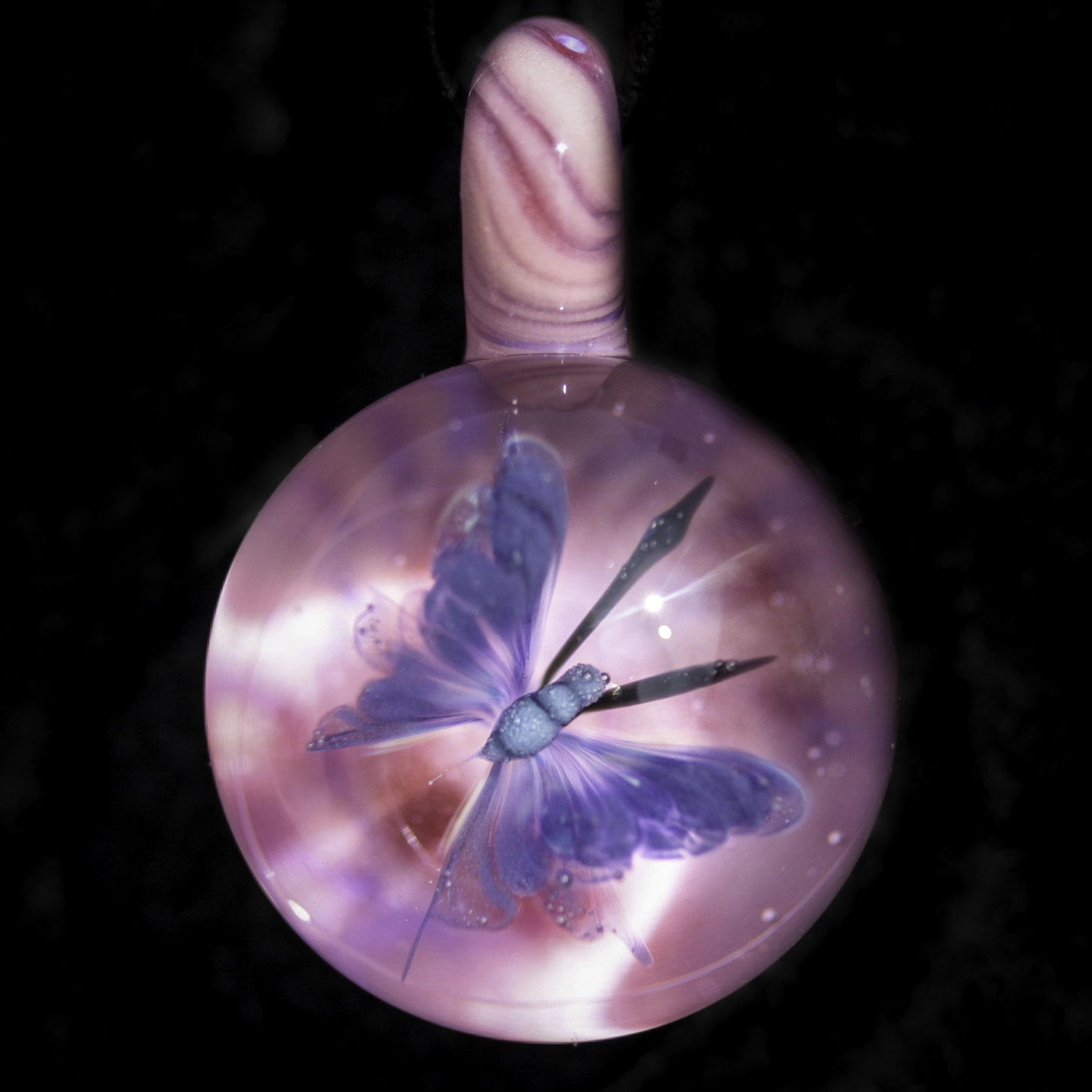 Pink and Purple Butterfly