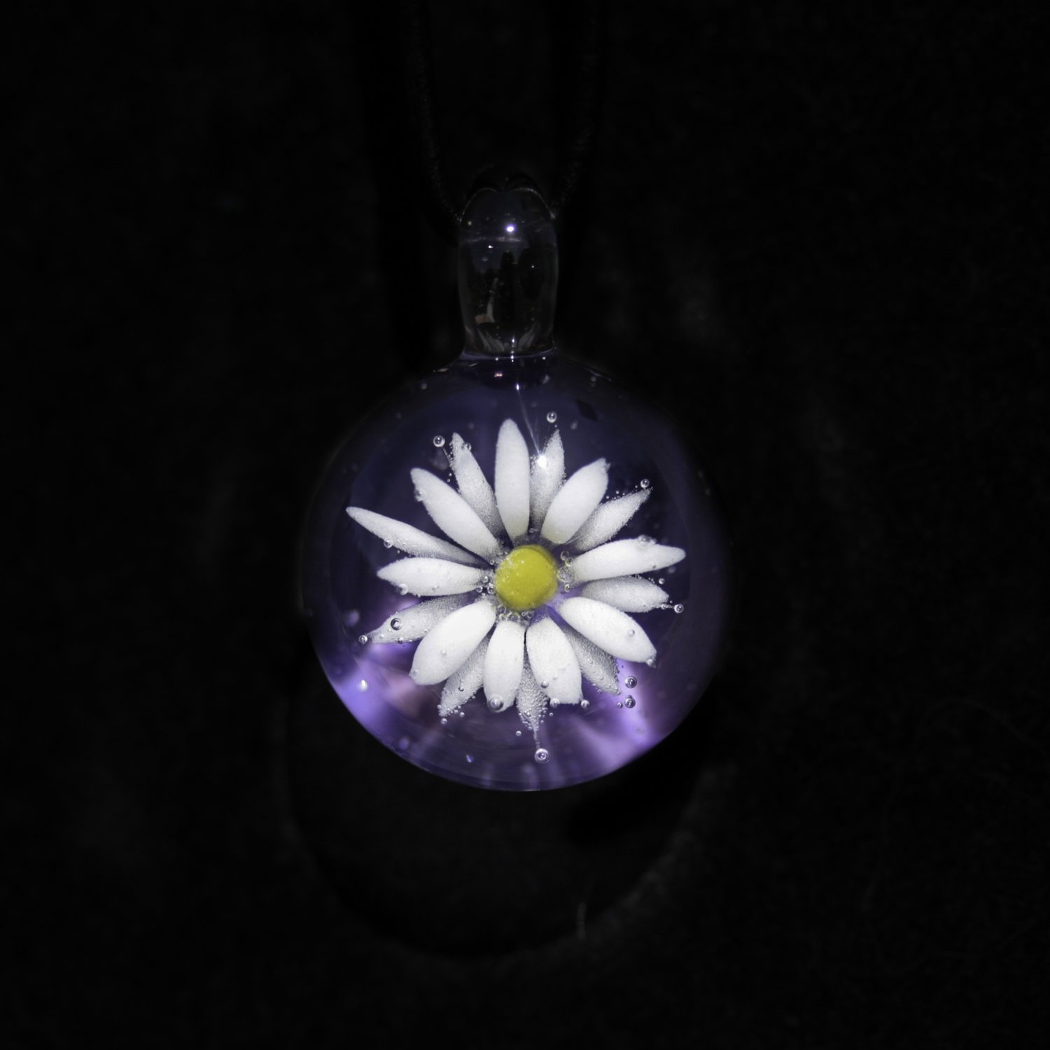 Daisy over Purple