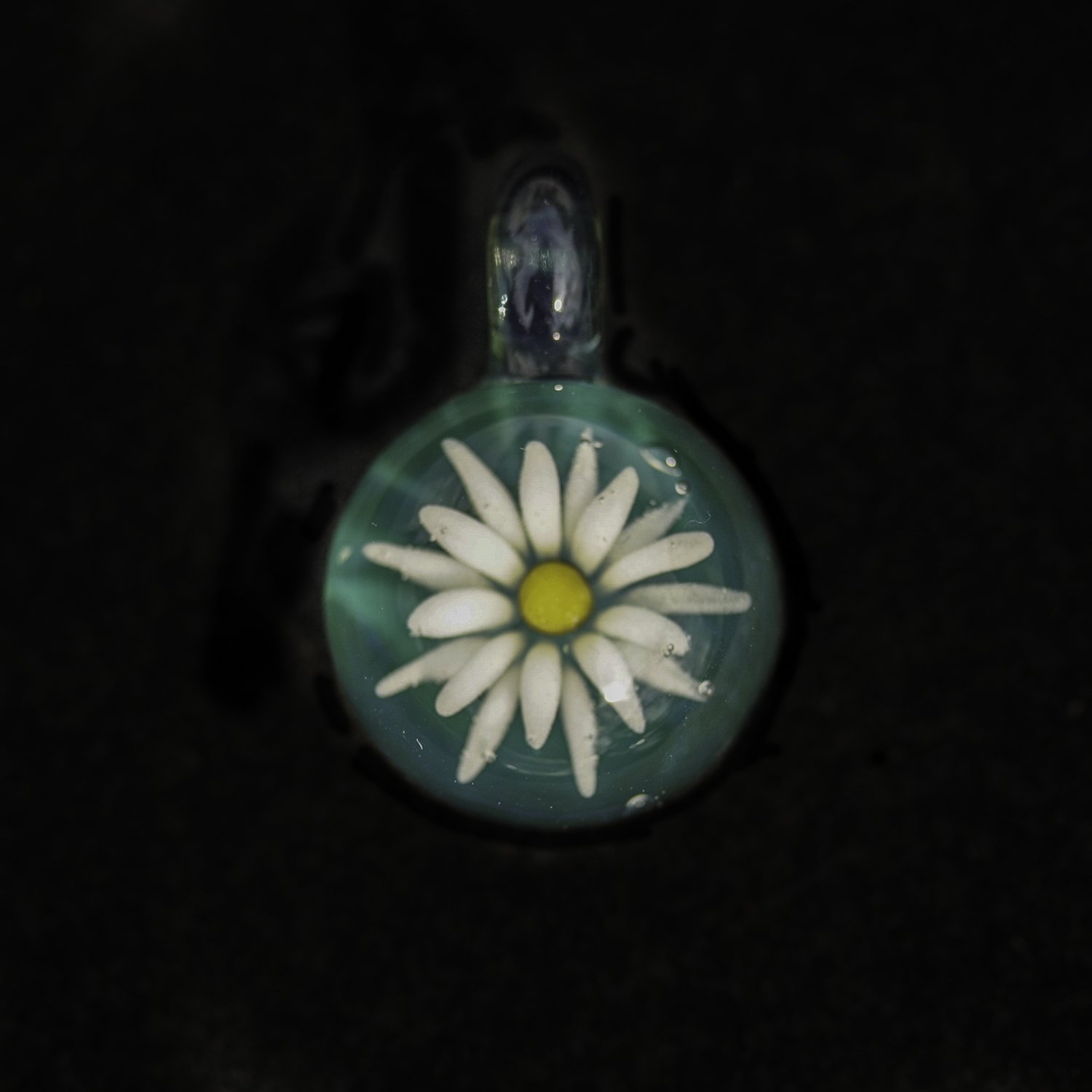 Teal Daisy