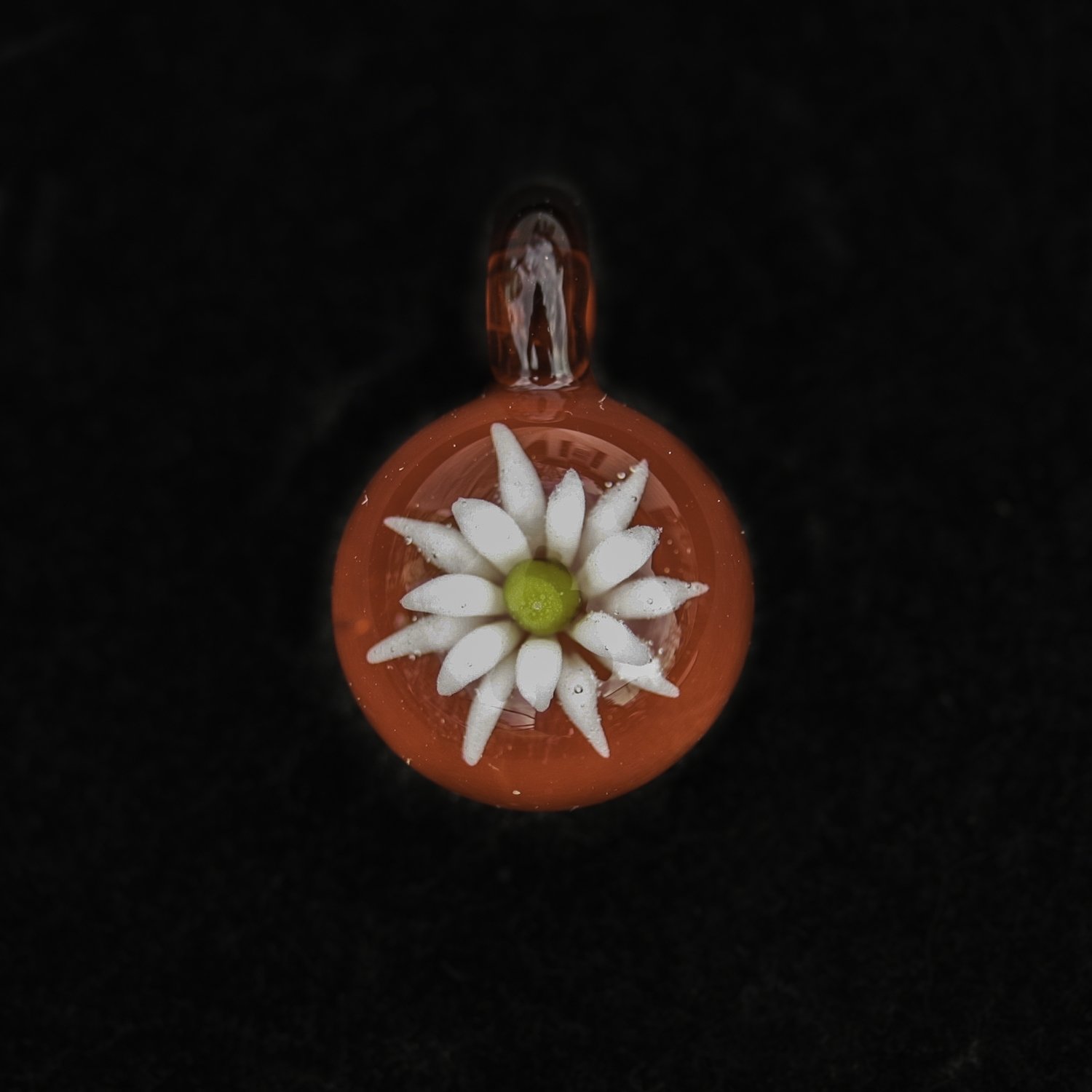 Royal Red Daisy