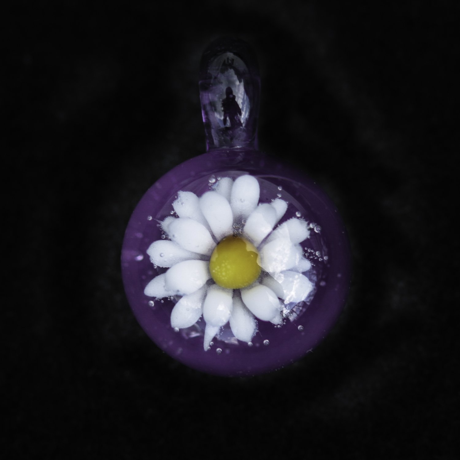 Daisy over Purple