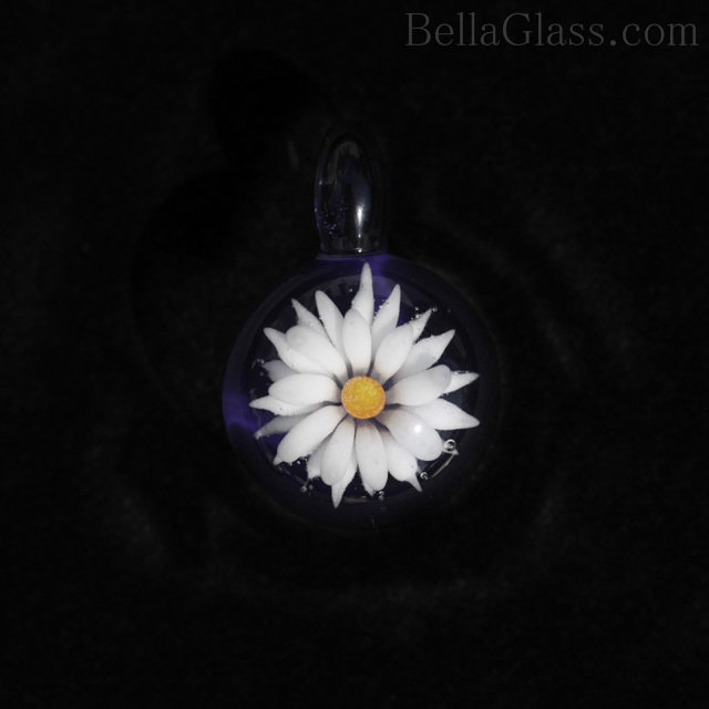 Daisy over Purple