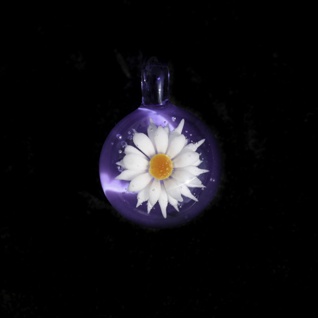Amethyst Daisy