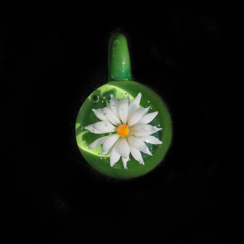 Green Daisy