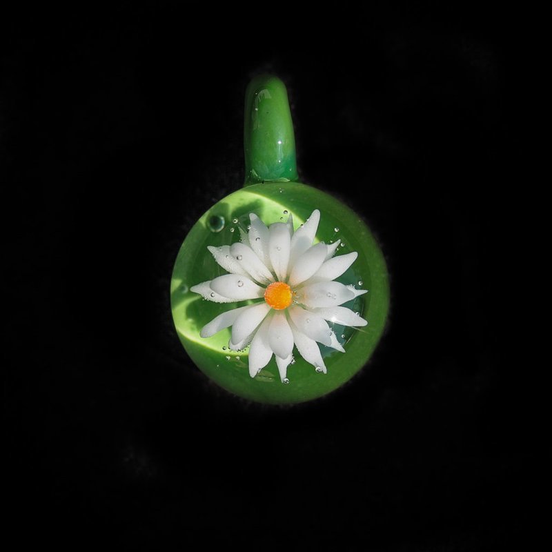 Green Daisy