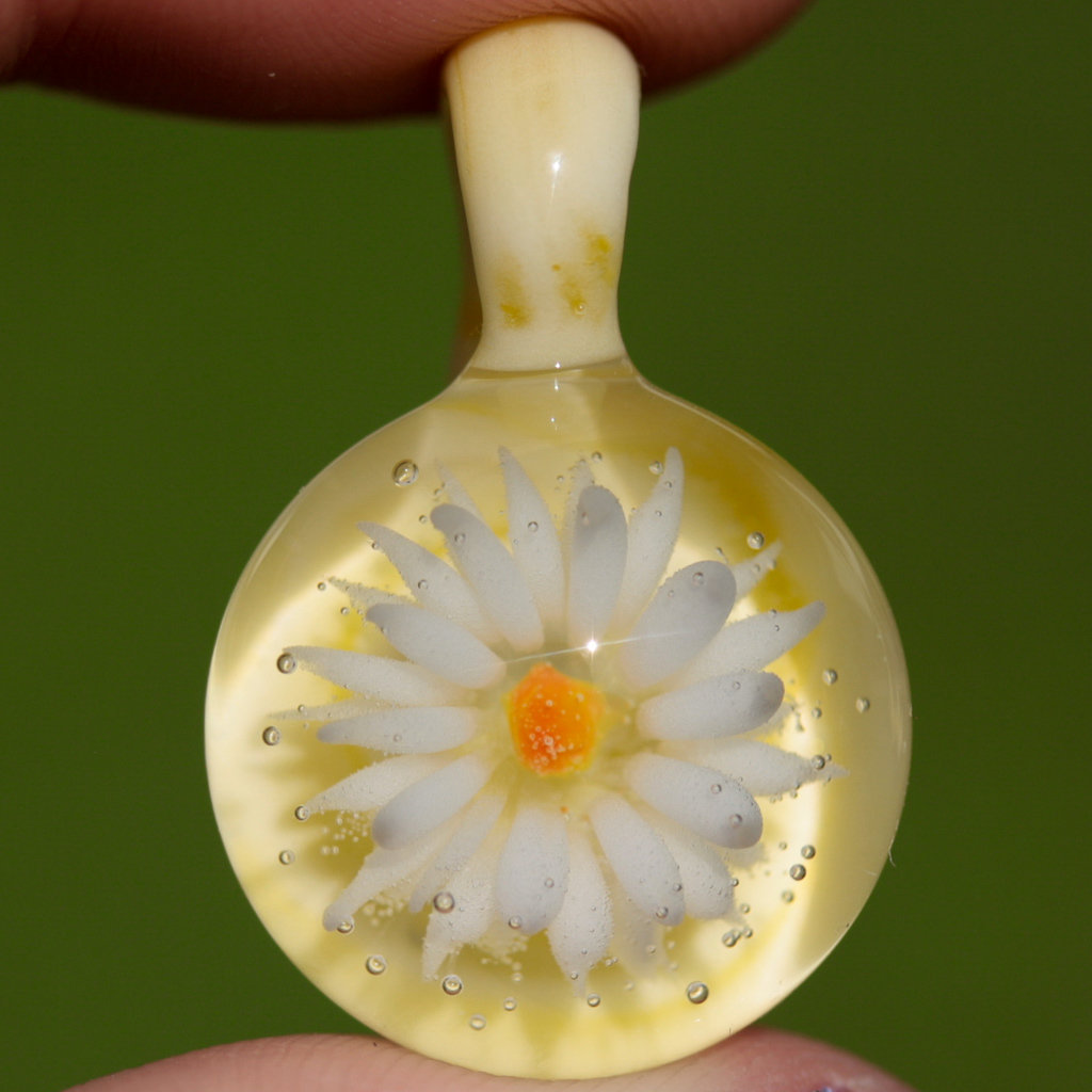 Yellow Daisy