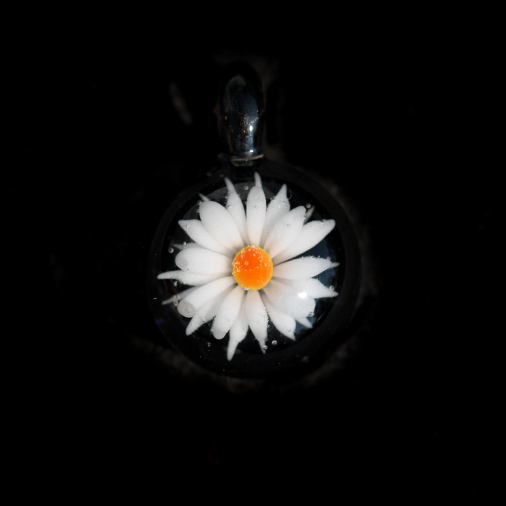 Black Daisy