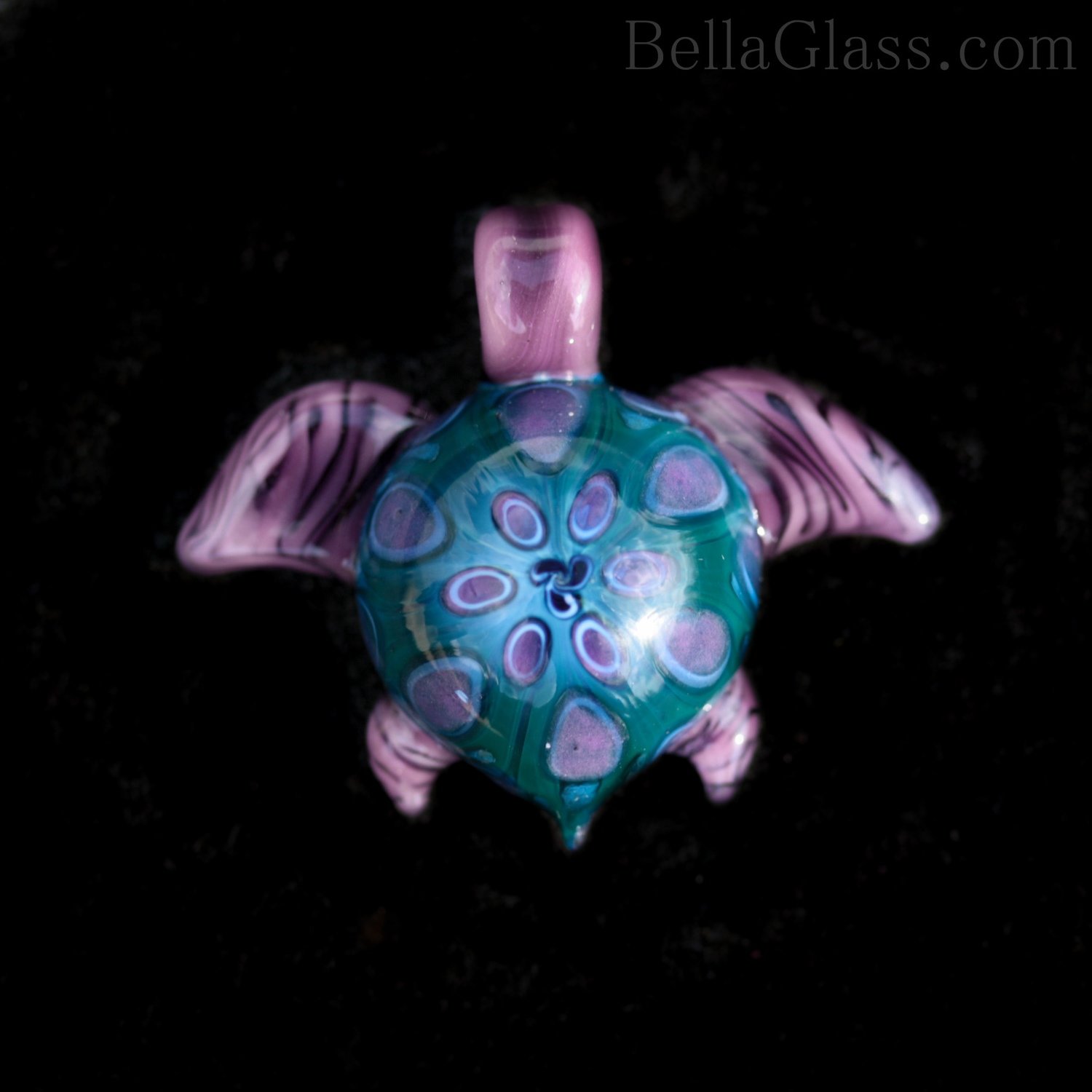 Gorgeous Turtle