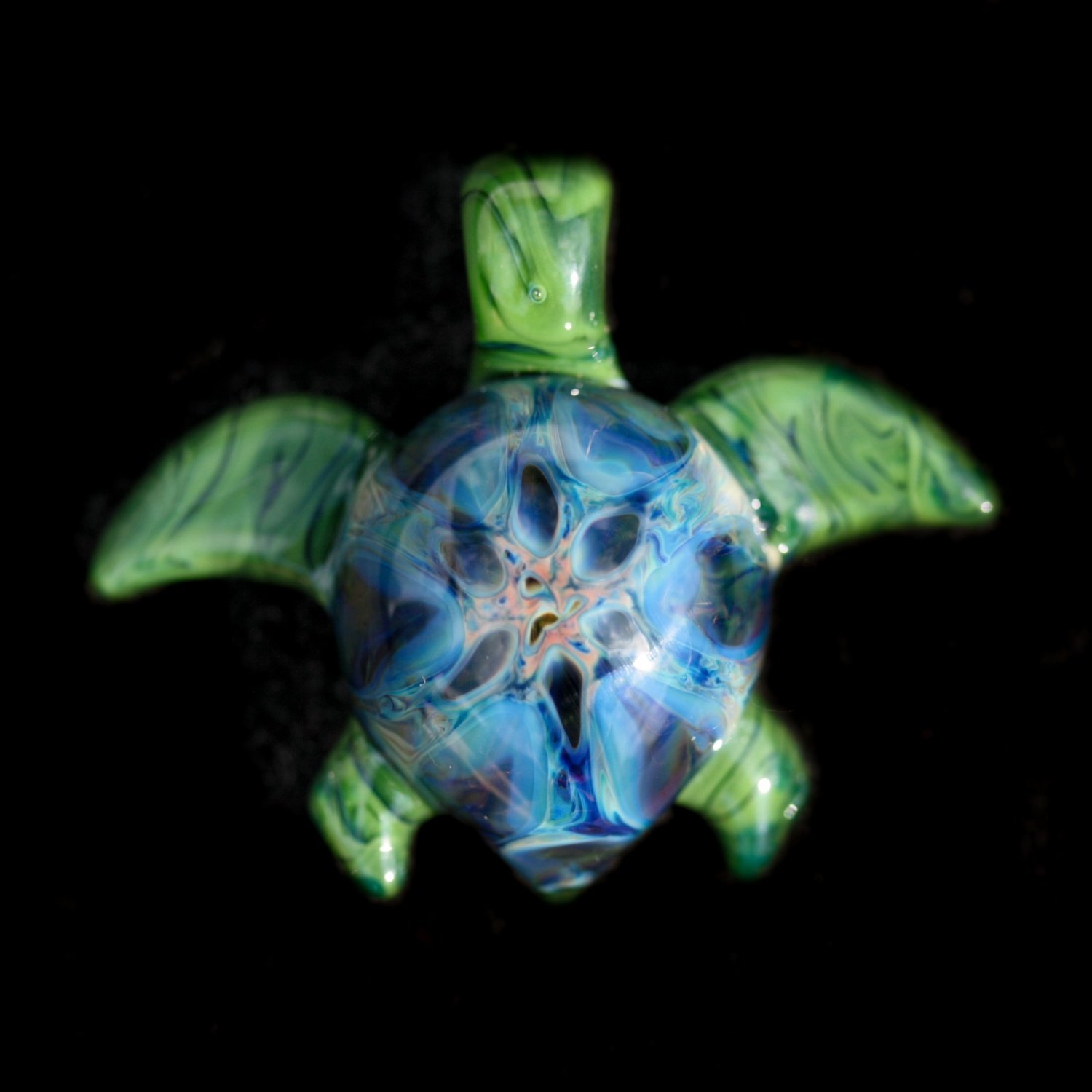 Starburst Turtle