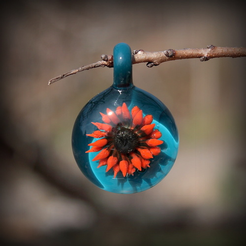 Orange Tipped Sunflower