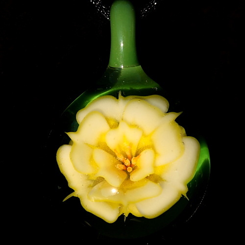 New Yellow Flower!