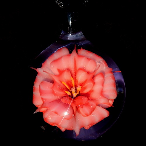 Carnation