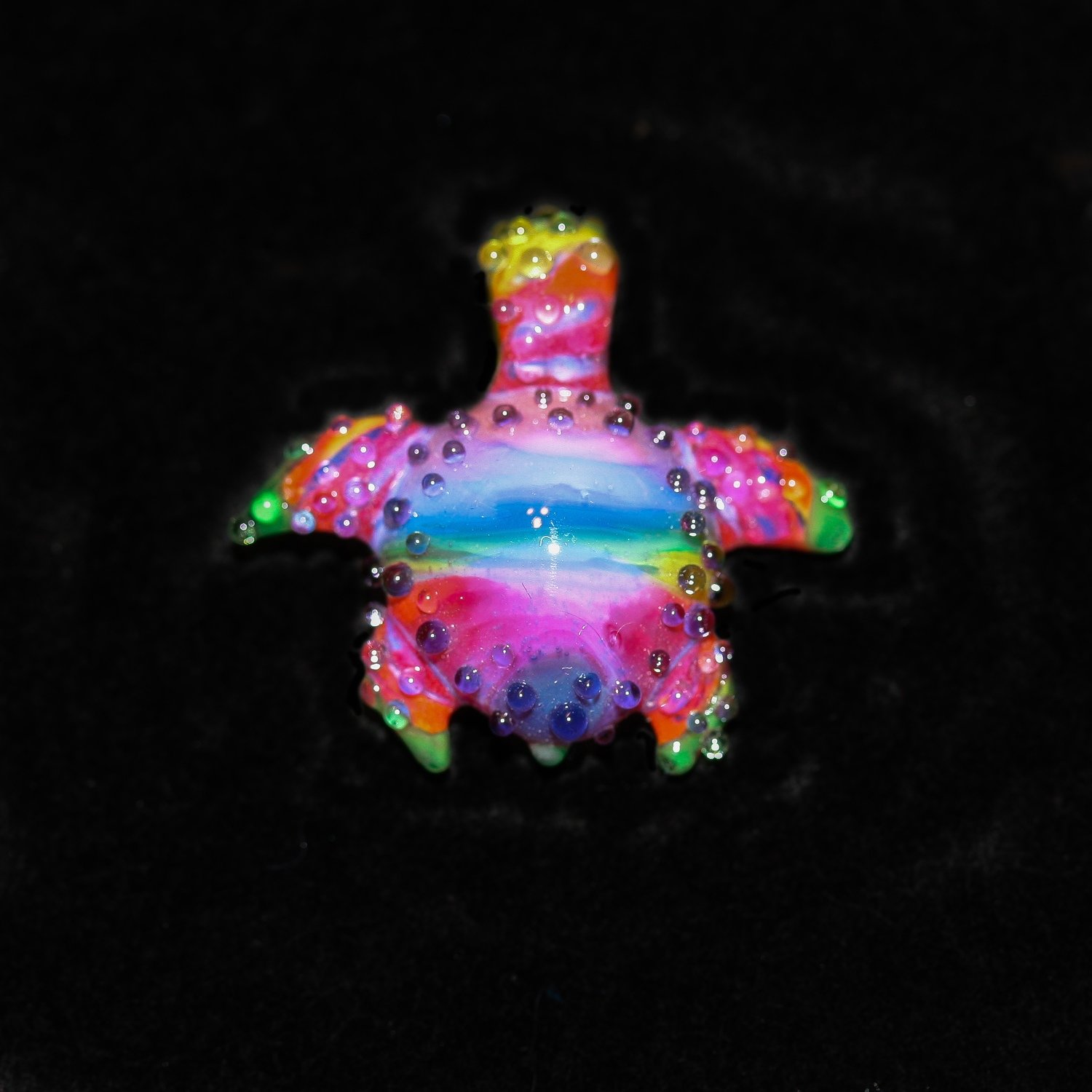 Tye-Dye Turtle