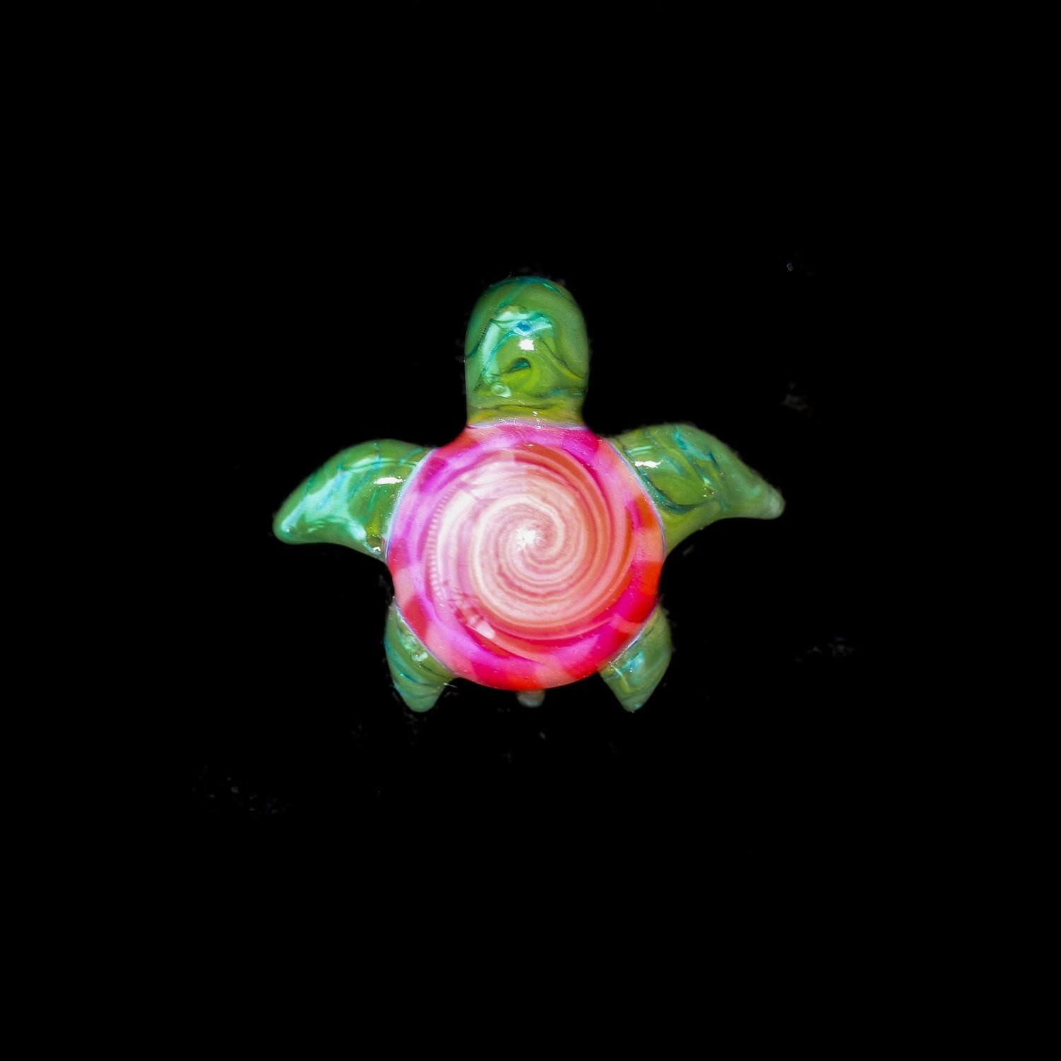Itty Bitty Turtle