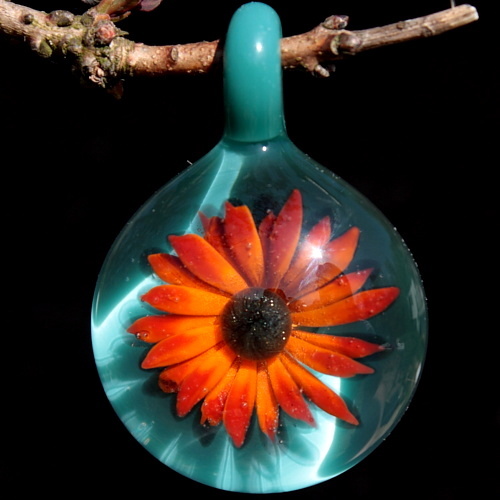 Red Tipped Sunflower