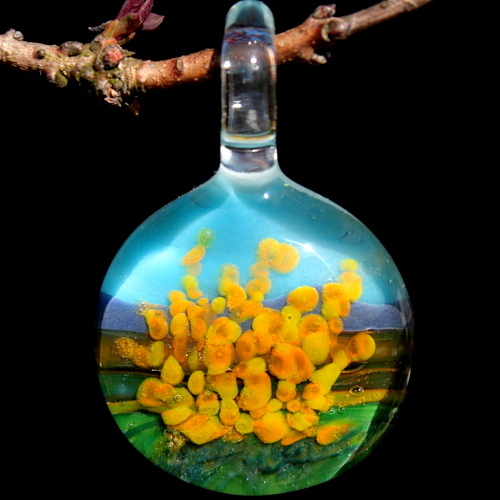 Forsythia Bush