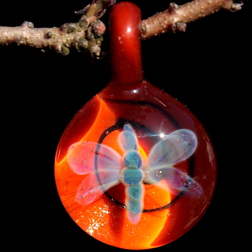 Dragonfly over Harvest Orange