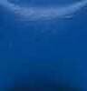 Bright Blue