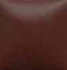 Cinnamon