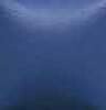 Confederate Blue