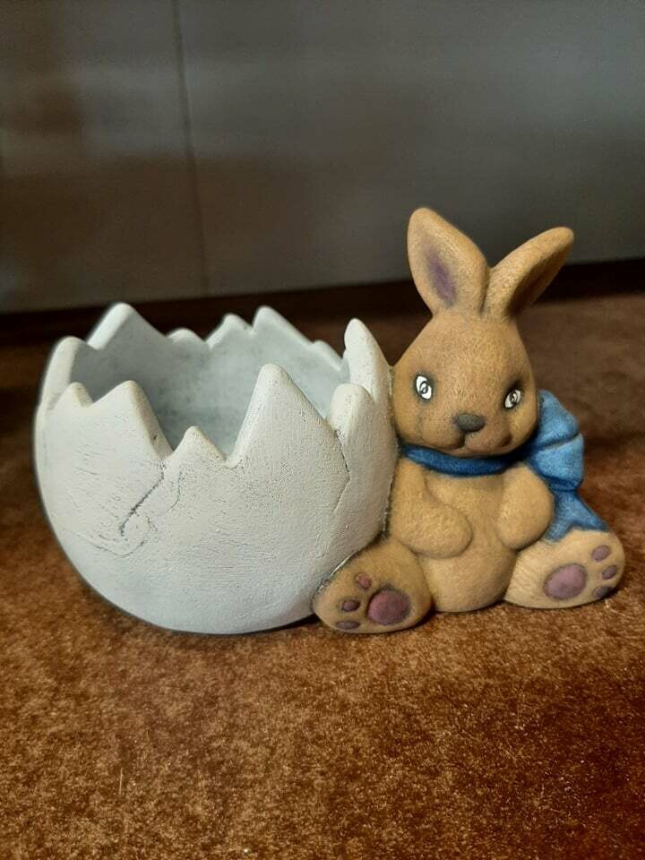 Kanína með brotið egg