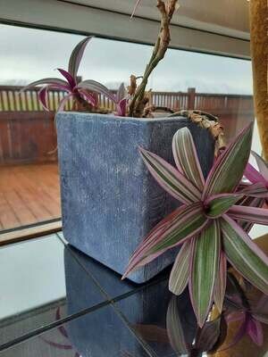 Blómapottar og vasar