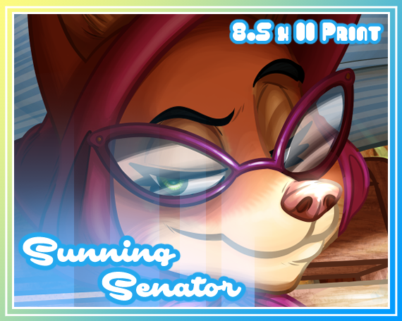 Sunning Senator Print 8.5 x 11in