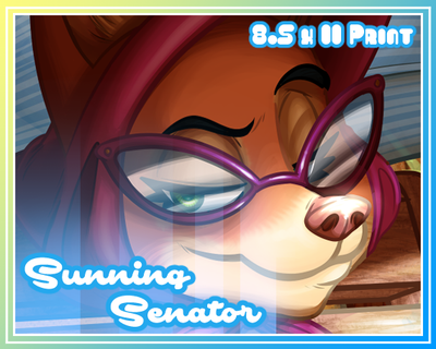 Sunning Senator Print 8.5 x 11in