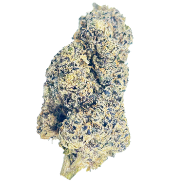 Gumbo #2- AAAA Exotic