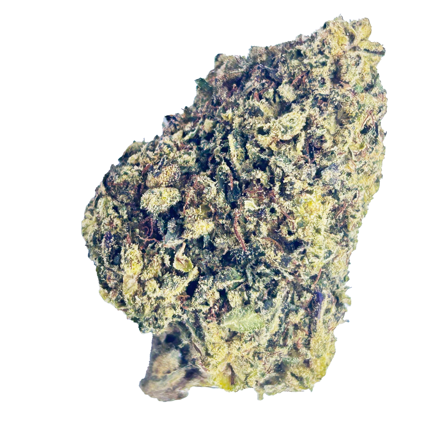 White Rhino