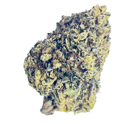 White Rhino