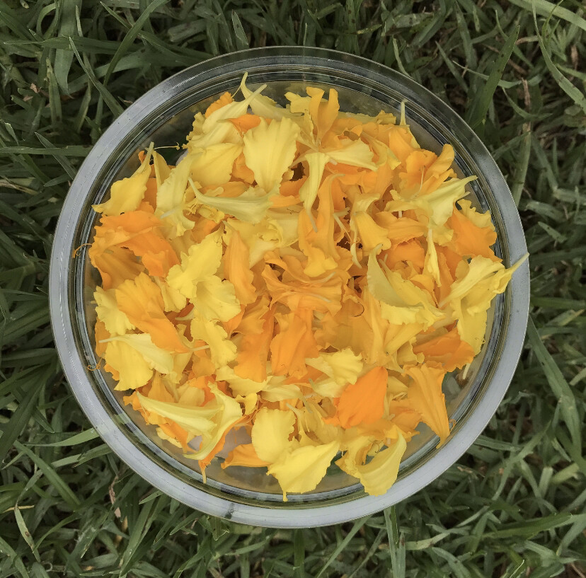 Edible Marigold petals *Order by Tuesday for delivery same week Edible Marigold petals *Order by Tuesday for delivery same week