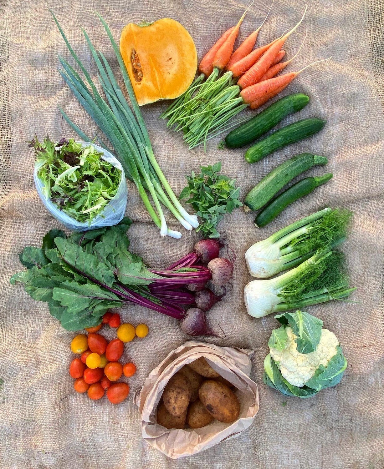 Casual/Trial Vegetable box - Order by Tuesday Evening Casual/Trial Vegetable box - Order by Tuesday Evening