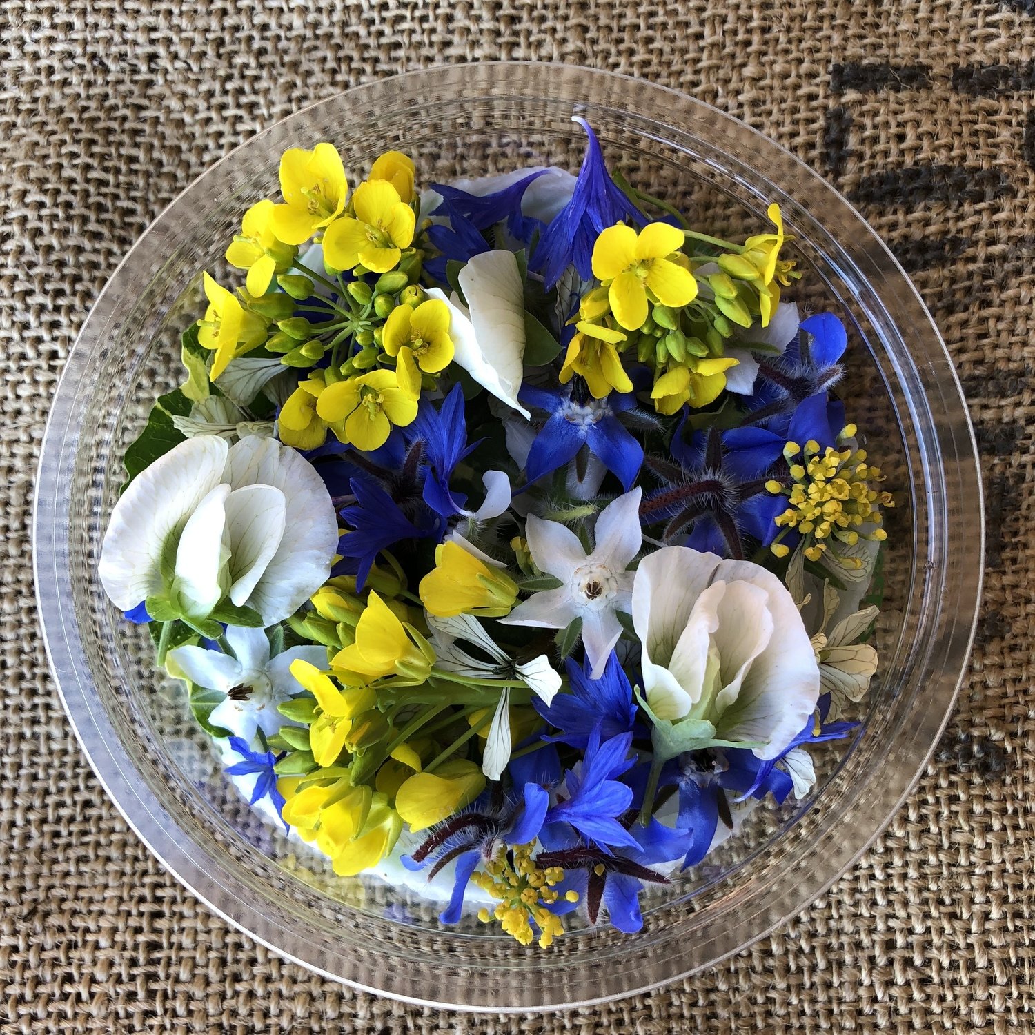 Edible Flowers Where To Buy Sydney / Big List Of Where To Edible Flowers Where To Buy Sydney / Big List Of Where To