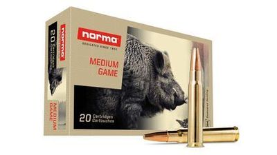 Norma