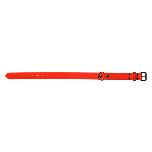 Biothane Halsband Orange ab 35cm