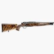 Sauer