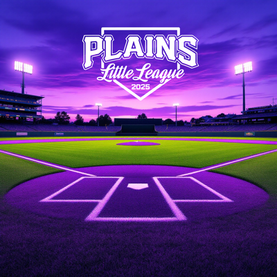 Plains Little League
