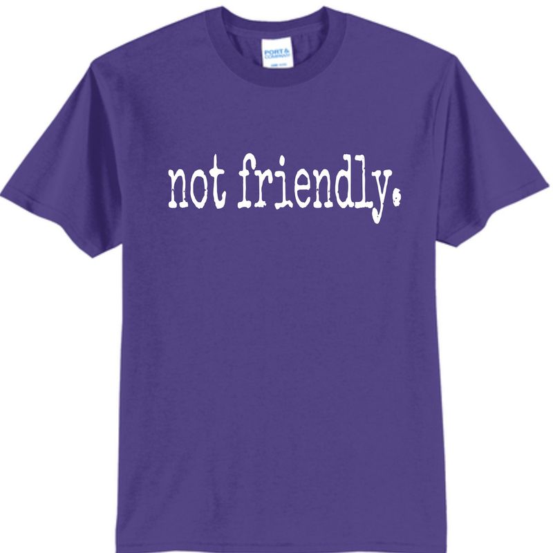 Not Friendly Tshirt