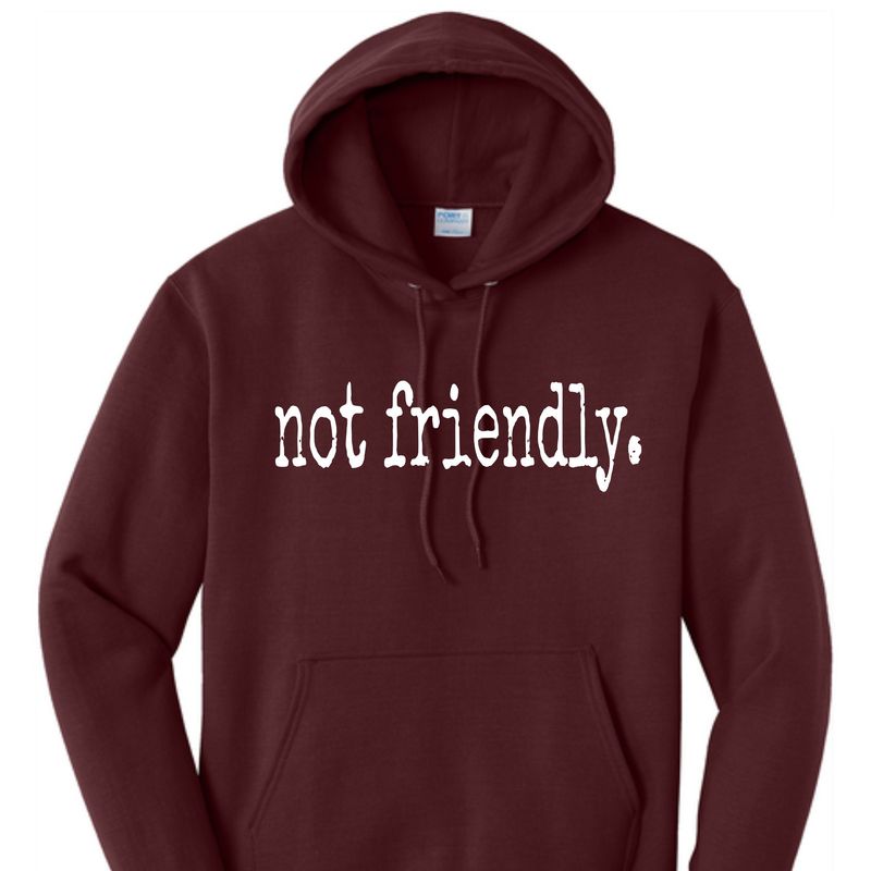 Not Friendly Hoodie